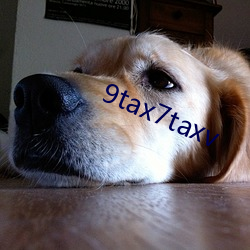 9tax7taxv