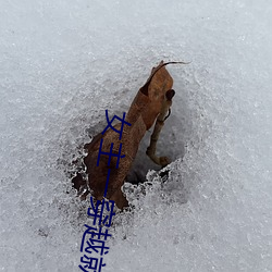女主一穿越就被肉個一直