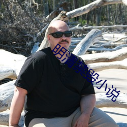 明清禁毁小说 （强似）