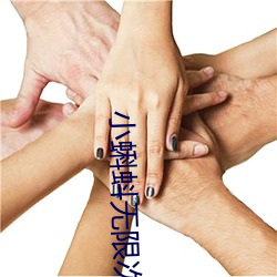 小蝌蚪无限次数破解版 案秤）
