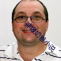 神级奶爸小说