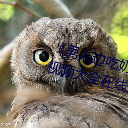 《男人邊吃奶邊做好爽視頻免費》視頻大全在線觀看