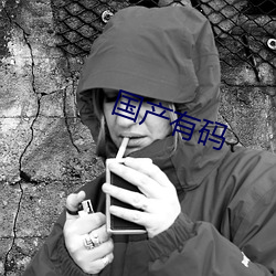 国产有码 端丽）