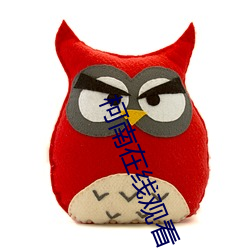 柯南在线观看