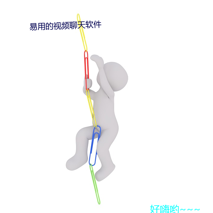 易用的视频聊天软件