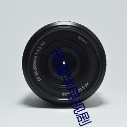 杨(yng)谨华电视(shì)剧