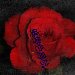 停停色導航