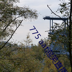 775 aat泡芙(芙)直播下载