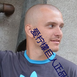 爱柠檬巨人正品蓝