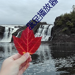 舐足(足)播放器(器)下载