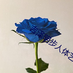 吉泽明步人(人)体艺术