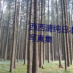 西西清純日本人體藝術美女大膽寫真集