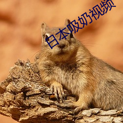 日本吸(吸)奶视(視)频