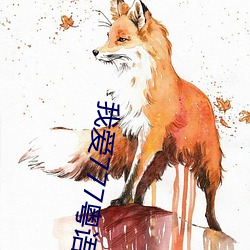 我爱777粤语版