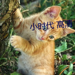 小时代 高清 （强弩之末）