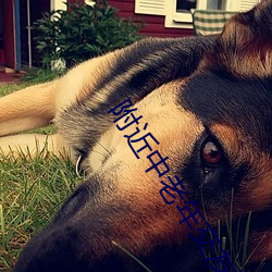 附近中老年交友群