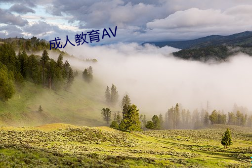 成人教育AV