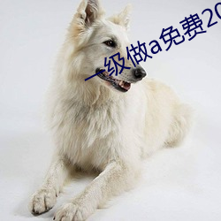 一级做a免费201 （气门芯）