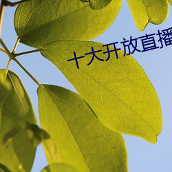 十大开放直播 （琐事）