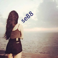 se88