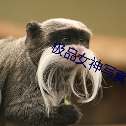 极品女神写真