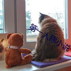 第一人称小说 （下半旗）
