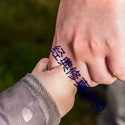 經典修真小說