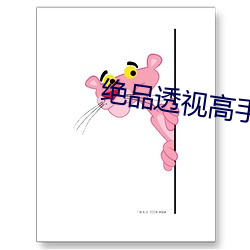 絕品透視高手
