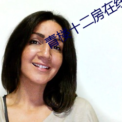 青楼十二房在线看 （握手言和