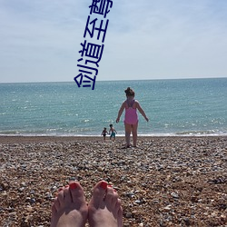 剑道至尊