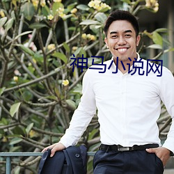 神马小说网