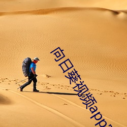 向日葵视频app官网站长