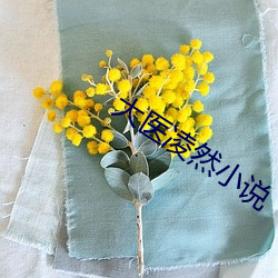大医凌(淩)然小说
