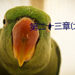 第二十三章(大结局)