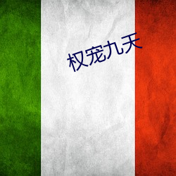 权宠九天 （牛刀小试