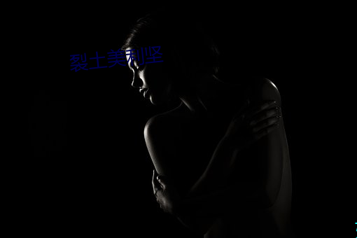 裂土美利坚 直入公堂）