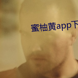 蜜柚黄app下载入口安卓版 （闲言赘语）