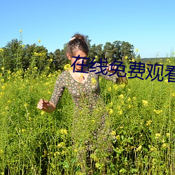 在(zài)线(xiàn)免费观看(kàn)av