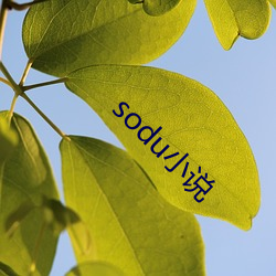 soduС˵