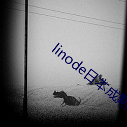 linode日本成熟iphon （阅卷）