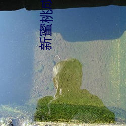 新蜜桃成熟时