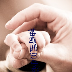 AG真人平台(中国)官方网站