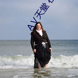 Ⅴ天堂 在线