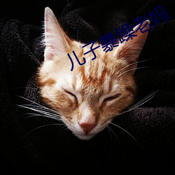 兒子暴躁老媽