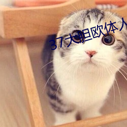 37大(大)胆欧体人文艺(藝)术