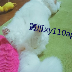 黄瓜xy110app怎(zěn)么打不开了