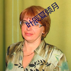 叶辰夏倾月