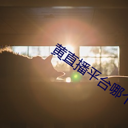 黃直播平台哪個最火
