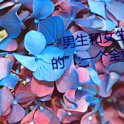 “男生和(hé)女(nǚ)生打扑克(kè)差差差(chà)很疼的”:一(yī)个全新的多人扑(pū)克游
