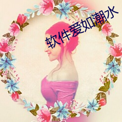 軟件愛如潮水
